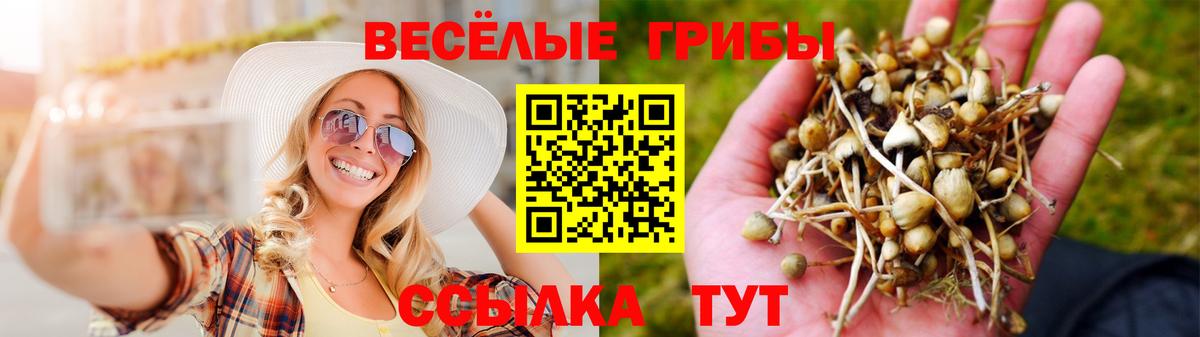Псилоцибиновые грибы ЛСД  Галлюциногенные грибы GOLDEN TEACHER  Ногинск  Вход с VPN 